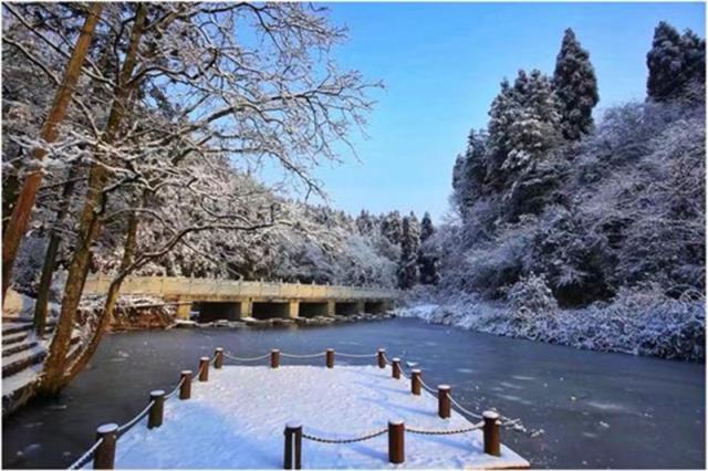 邛崃天台山雪景 (4).jpg