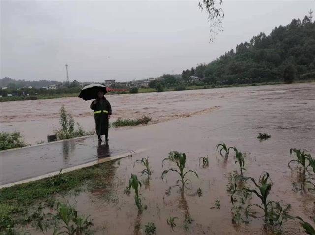 峨眉河苏稽段水位上涨.jpg